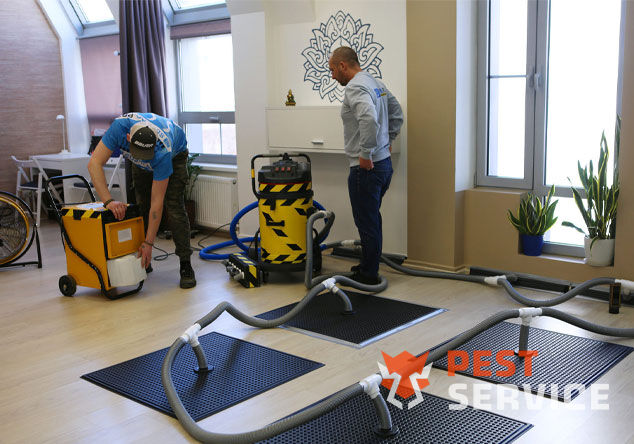 Профессиональная сушка после потопа в Долгопрудном от 3000 руб. Быстро устраняем влагу, предотвращаем плесень и повреждения. Современное оборудование и опытные специалисты. Безопасно и эффективно.